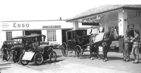 Foster Collection